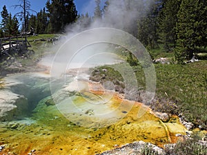 Yellowstone National Park