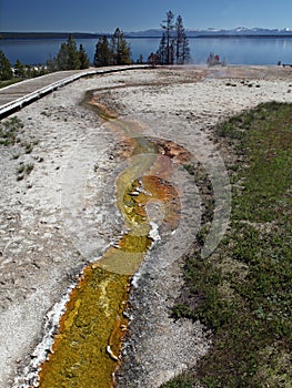 Yellowstone National Park