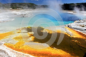 Yellowstone National Park