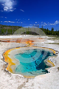 Yellowstone National Park photo