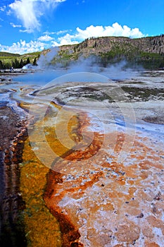 Yellowstone National Park photo