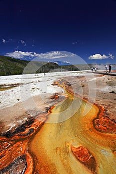 Yellowstone National Park photo