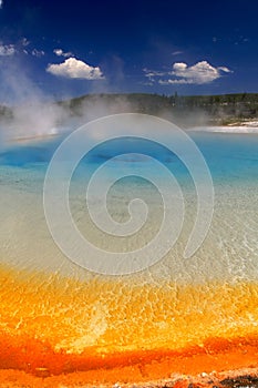 Yellowstone National Park photo