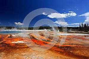 Yellowstone National Park photo