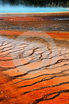 Yellowstone national park