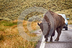 Yellowstone National Park