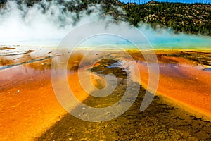 Yellowstone National Park