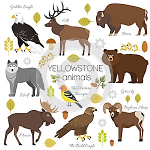 Yellowstone National Park animals set