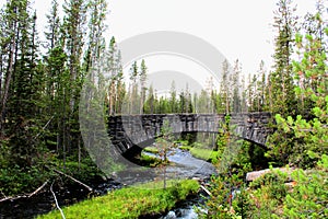 Yellowstone National Park Beautiful Bridge with rocks and moss and woodlands gorgeous colors photo