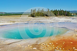 Yellowstone National Park