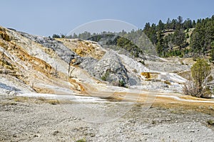 Yellowstone National Park calcium