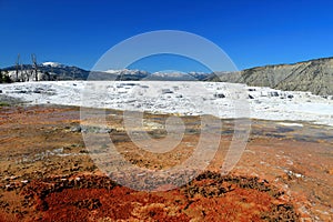 Yellowstone National Park with Canary Spring at Upper Terraces, Mammoth Hot Springs, Wyoming