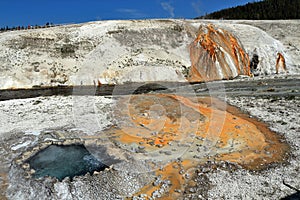 Yellowstone National Park, Chinese Spring and Firehole River at Upper Geyser Basin, Wyoming, USA