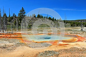Yellowstone National Park with Colourful Culvert Geyser in Chain Lakes Group, Upper Geyser Basin, Wyoming