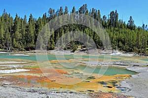 Yellowstone National Park, Crackling Lake at Norris Geyser Basin, Wyoming