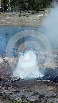 Yellowstone National Park geyser erupt