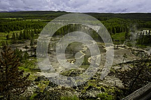 Yellowstone National Park ,home to rivers,lakes, forests and canyons.