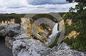 Yellowstone National Park ,home to rivers,lakes, forests and canyons.
