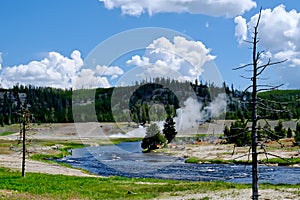 Yellowstone National Park ,home to rivers,lakes, forests and canyons.