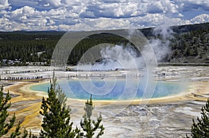 Yellowstone National Park ,home to rivers,lakes, forests and canyons.