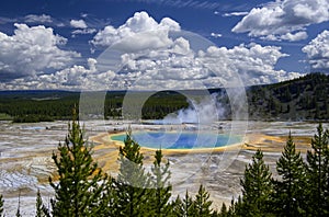 Yellowstone National Park ,home to rivers,lakes, forests and canyons.