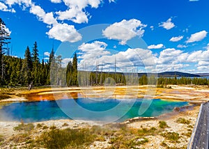 Yellowstone National Park Hot Spring