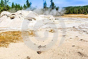 Yellowstone National Park Hydrothermal Area