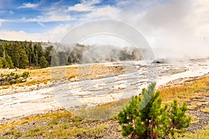 Yellowstone National Park Hydrothermal Area