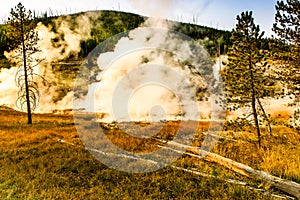 Yellowstone National Park Hydrothermal Area