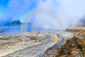 Yellowstone National Park Hydrothermal Area