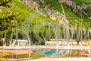 Yellowstone National Park Landscape Reflections