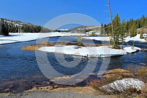 Yellowstone National Park with Lewis River near South Entrance in Spring, Wyoming