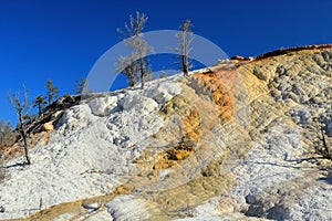 Yellowstone National Park, Mammoth Hot Springs in Evening Light, Wyoming