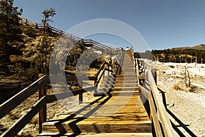 Yellowstone National park, Mammoth Hot Springs photo