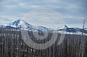 Yellowstone National Park Mountain Grandure