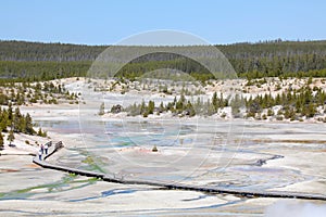 Yellowstone national park - norris geyser basin photo