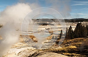 Yellowstone National park,Norris geyser Basin,WY,USA