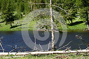 Yellowstone National Park