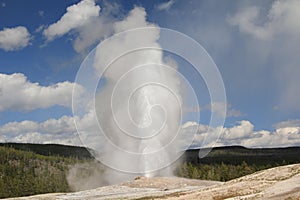 Yellowstone National Park`s Old Faithful geyser. photo