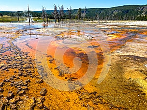 Yellowstone National Park Thermal Feature photo