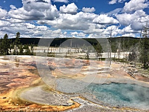 Yellowstone National Park thermal features of geysers