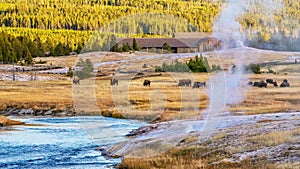 Yellowstone National Park Upper Geyser Basin. photo