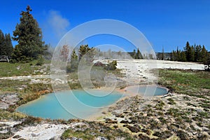 Yellowstone National Park, West Thumb Paint Pots near Yellowstone Lake, West Thumb Geyser Basin, Wyoming, USA