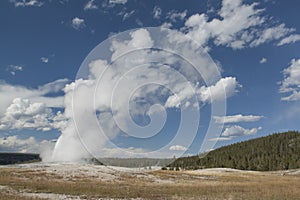 Yellowstone National Park, Wyoming, USA