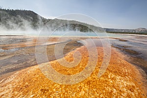 Yellowstone National Park, Wyoming, USA