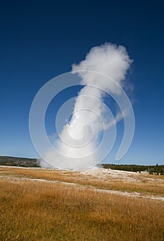 Yellowstone-old faithfull geyser