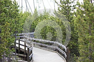 Yellowstone park trail