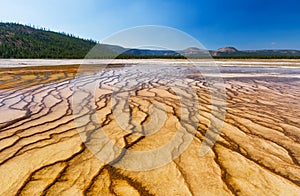 Yellowstone Patterns