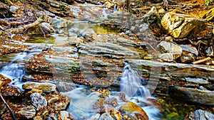 Yellowstone Prong creek