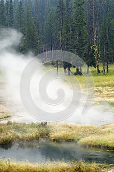 Yellowstone river photo